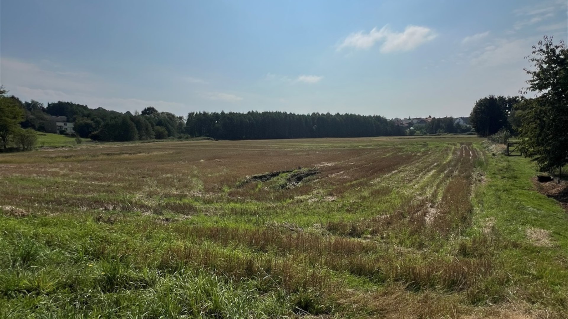 Działka na sprzedaż