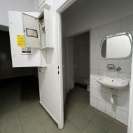 Lokal na wynajem