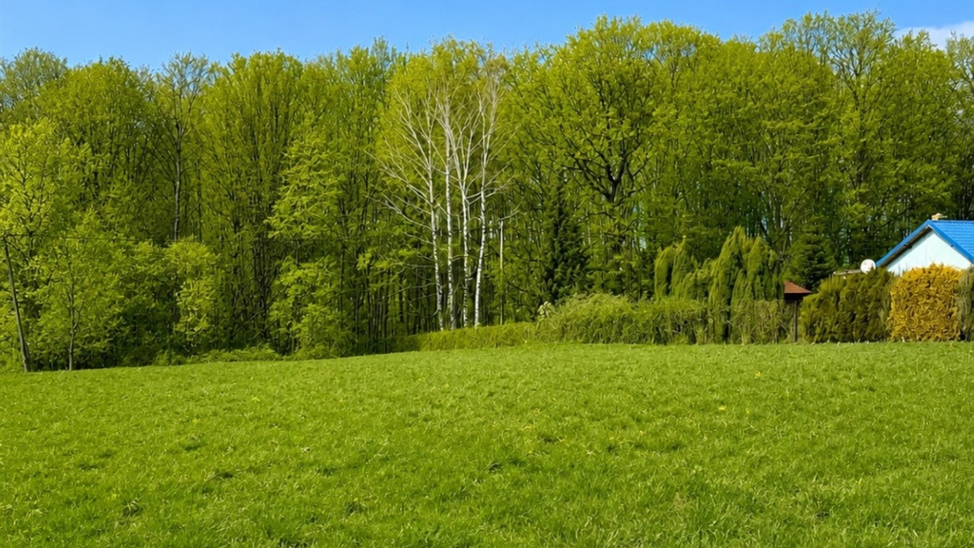 Działka na sprzedaż