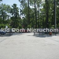 Lokal na wynajem
