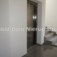 Lokal na wynajem
