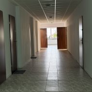 Lokal na wynajem