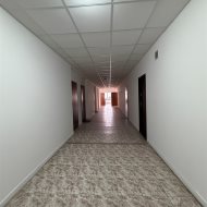 Lokal na wynajem
