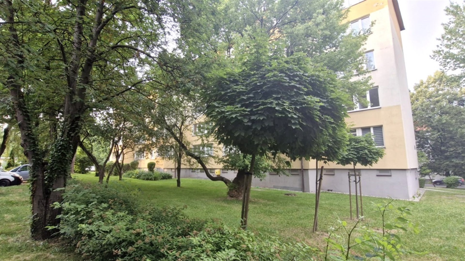 Mieszkanie na sprzedaż